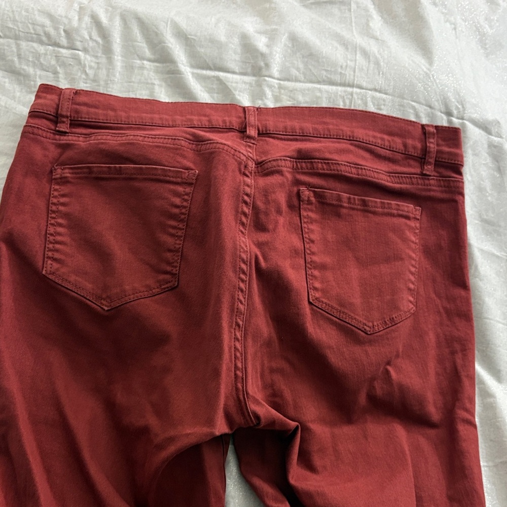 New York & Company Burnt Orange Distressed Jeggings - Picture 3 of 9